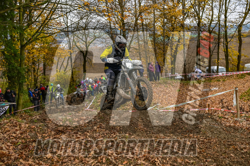 NZ8_6727 | grenznic640