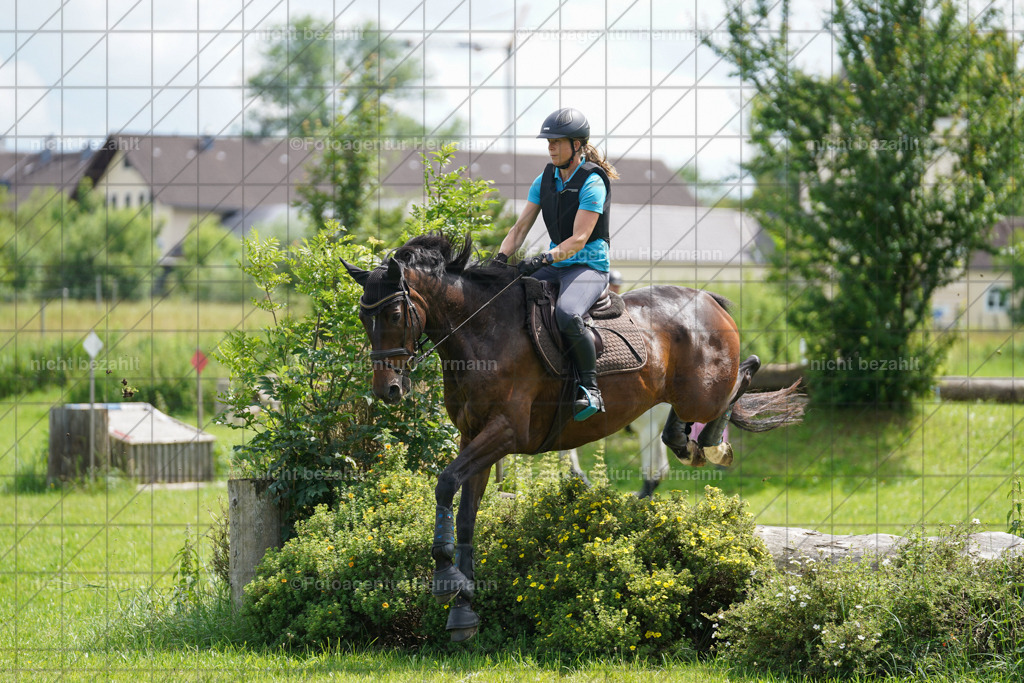 20240622-FAH07596 | Turnierfotografen Bayern, Reitsportbilder aus dem Geländekurs mit Felix Etzel auf dem Gut Waitzacker 2024
