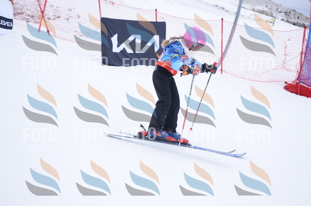 DSC_7789 | holidayphoto