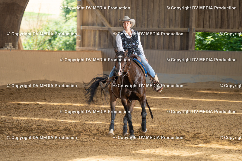 DSC00047 | dv-media-shop - Realisiert mit Pictrs.com