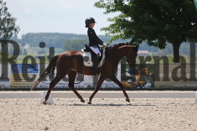 Rot am See_2024_Prfg.Nr.21_Qual.BCH_und_LCH_5-jähr.Ponys_Matilda Buchbach_Dundees Quadriga (4) | Alle Fotos der Reiterjournal Fotografin Doris Matthaes im Reiterjournal Online-Fotoshop. - Realisiert mit Pictrs.com