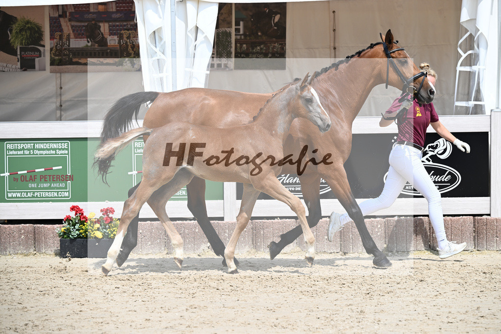 Arezzo Man x Clearway_HF_Maier u Mayerfoels_12250678 | hf-fotografie - Realisiert mit Pictrs.com