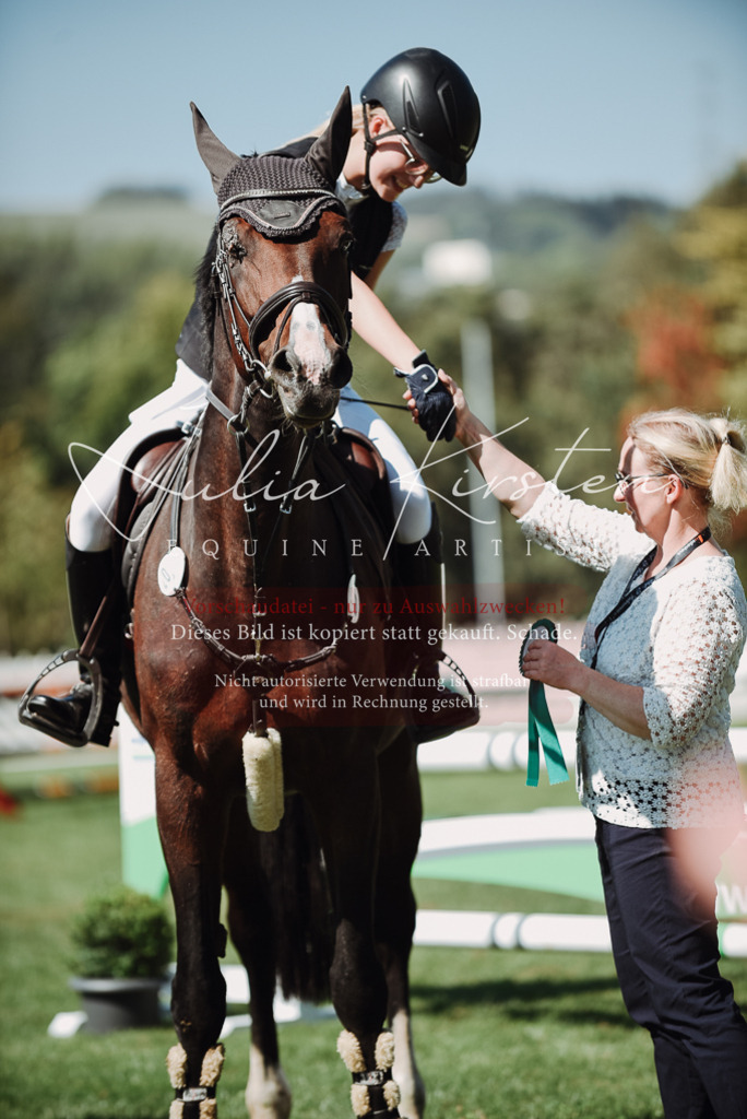 DSC_3354 | Pferde- und Turnierfotografie in Westsachsen. Pferdeportraits, Auftragszeichnungen und intuitive Kunst.