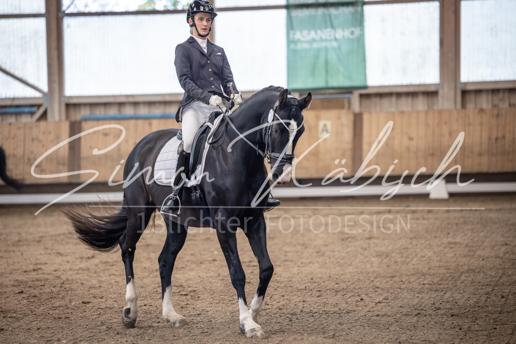 20251011-_3LI9460 | Tierfotografie Pferde, Hunde, Katzen, Haustiere.
Turnierfotografie Reitturniere, Reiten, Springreiten, Dressur in Hanau, dem Main-Kinzig-Kreis und dem Rhein-Main- Gebiet um Frankfurt