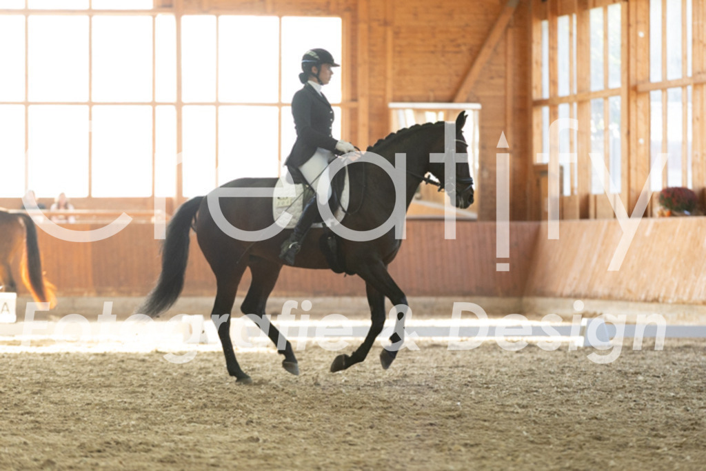 IMG_3718 | Creatify Fotografie