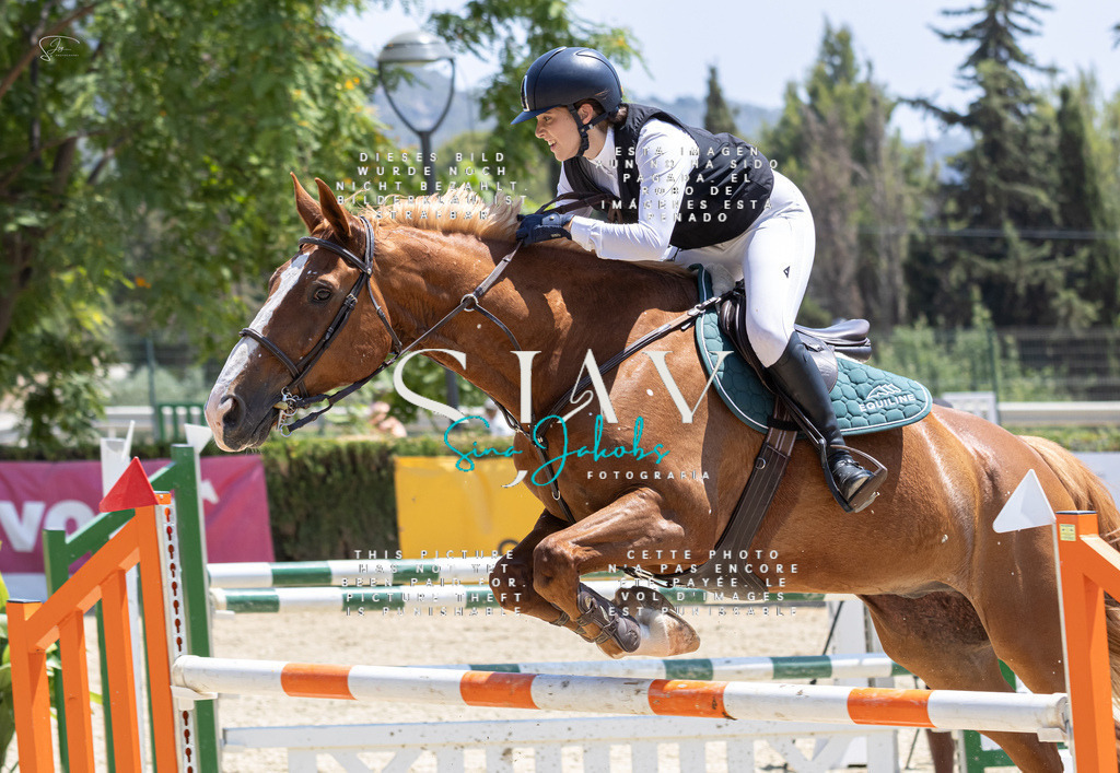 IMG_7833 | s-jay-photography - Realisiert mit Pictrs.com