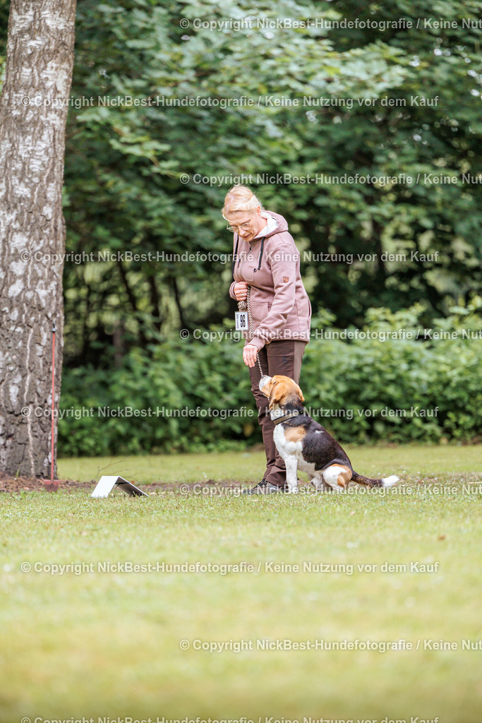 RO-Blumenthal-2026-Nickbest-Hundefotografie-4846 | Dein Hund! Dein Moment! Deine Erinnerungen! Hundefotografie in Bremen Blumenthal. Ich fange die besonderen Momente deines Vierbeiners ein – ob Indoor mit Blitzanlage oder in der freien Natur. Sicher dir dein Moment und dein Termin für eure Erinnerungen.