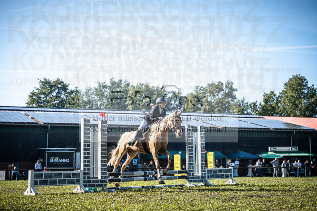 Z63_0155 | Entdecke hochwertige Reitturnierfotos von Foto Oger. Professionell, emotional und authentisch – jetzt Lieblingsmomente im Shop bestellen.Deutschlandweite Turnierfotografie. - Realisiert mit Pictrs.com