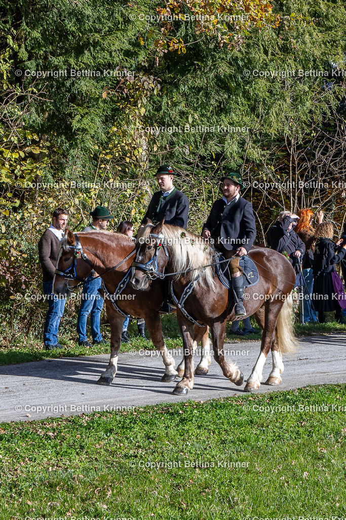 LBT24-882 | foto-bettina-krinner - Realisiert mit Pictrs.com