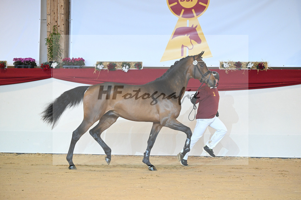 Kat-Nr. 5 Carrera VDL_Schep_1231132 | hf-fotografie - Realisiert mit Pictrs.com