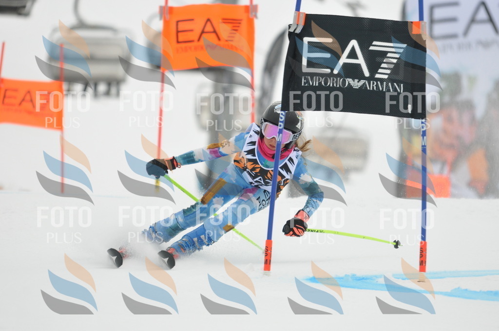 DSC_7431 | holidayphoto