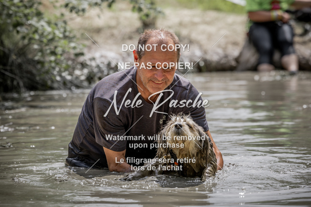 nelerasche_so1330-1400_194 | nelerasche