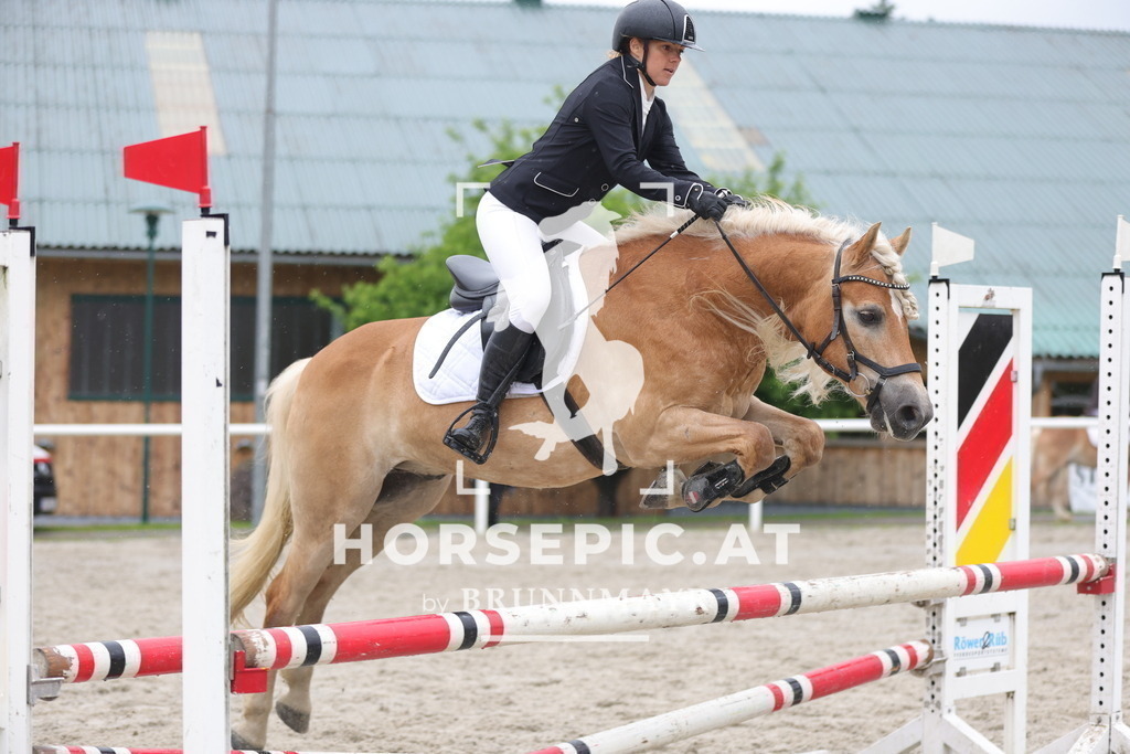 0P6A7986 | Willkommen bei Brunnmayr - Design & Fotografie – Ihrem Spezialisten für Reitturniere und Pferdeveranstaltungen in Oberösterreich, Salzburg und Bayern! Seit über 17 Jahren sind wir leidenschaftlich dabei.