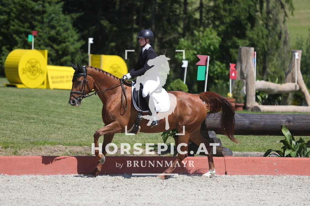0P6A6734 | Willkommen bei Brunnmayr - Design & Fotografie – Ihrem Spezialisten für Reitturniere und Pferdeveranstaltungen in Oberösterreich, Salzburg und Bayern! Seit über 17 Jahren sind wir leidenschaftlich dabei.