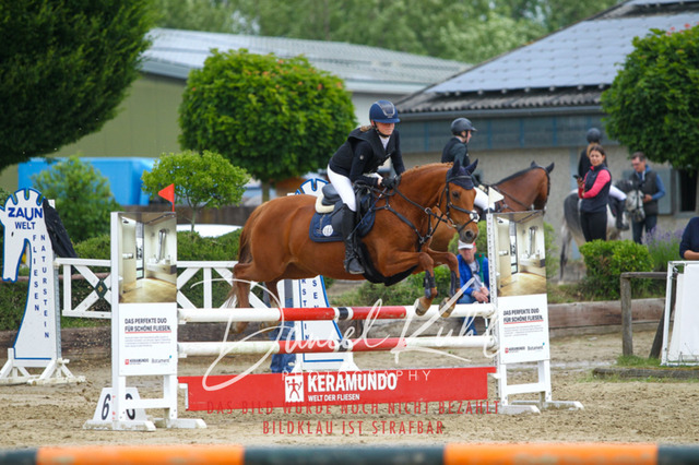 DKP41704 | Turniersportfotografie; Pferdefotografie; Dressurfotografie