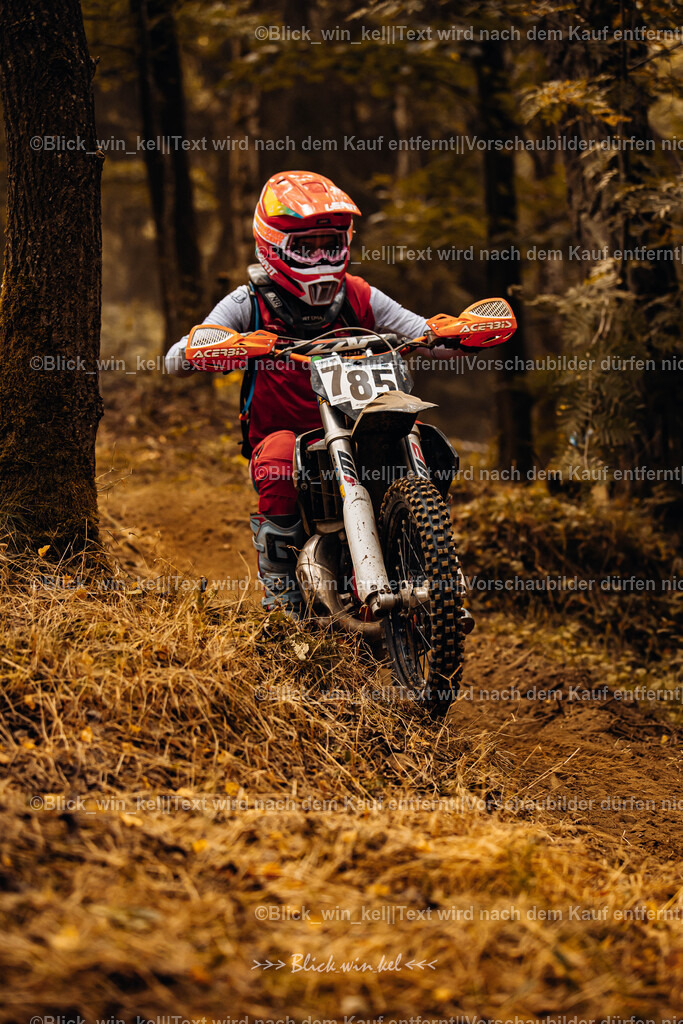 E68A4047 | blick_win_kel