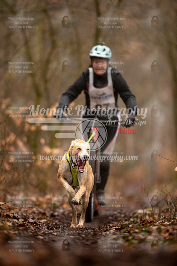 Reiat2023_SON_Scooter_5km_1H-78 | PayLife
