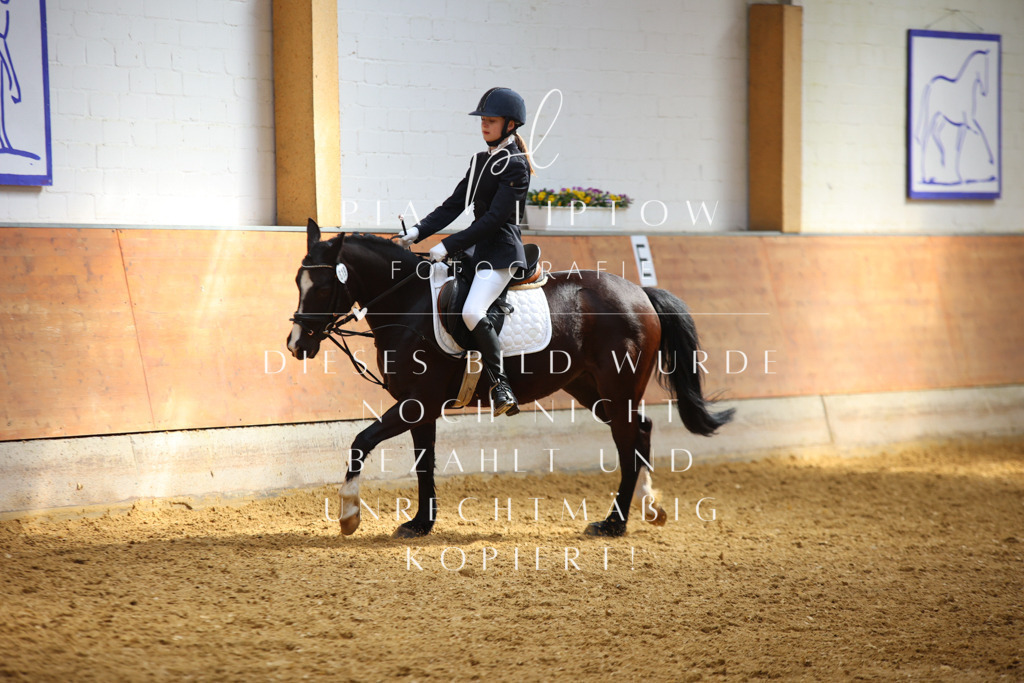 IMGT3662 | pl-fotografie