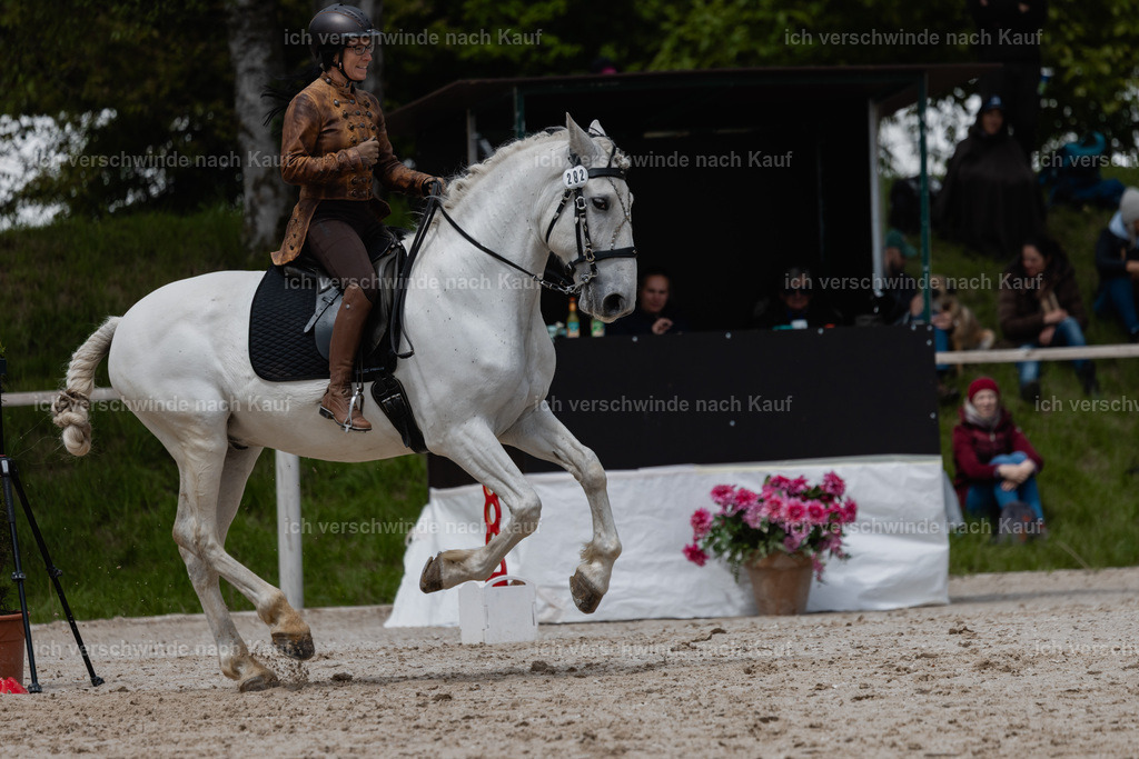 PI26_SP_StoibphotographyC2_C1428.jpg | working equitationturnier fotograf videograf stoibphotography marixx film working equitation deutschland reitsport turnierfotografie eventfotografie equestrian events