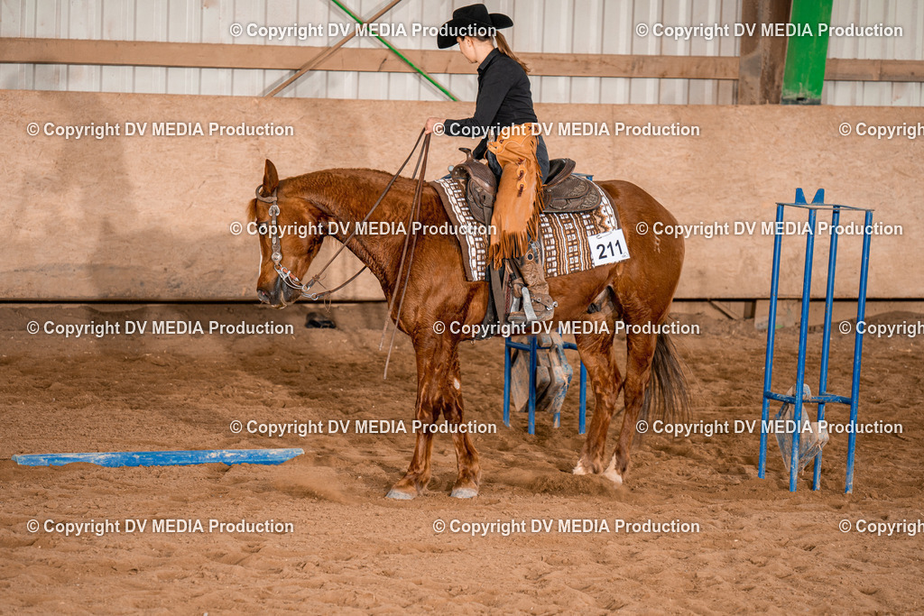 BA400742 | dv-media-shop - Realisiert mit Pictrs.com