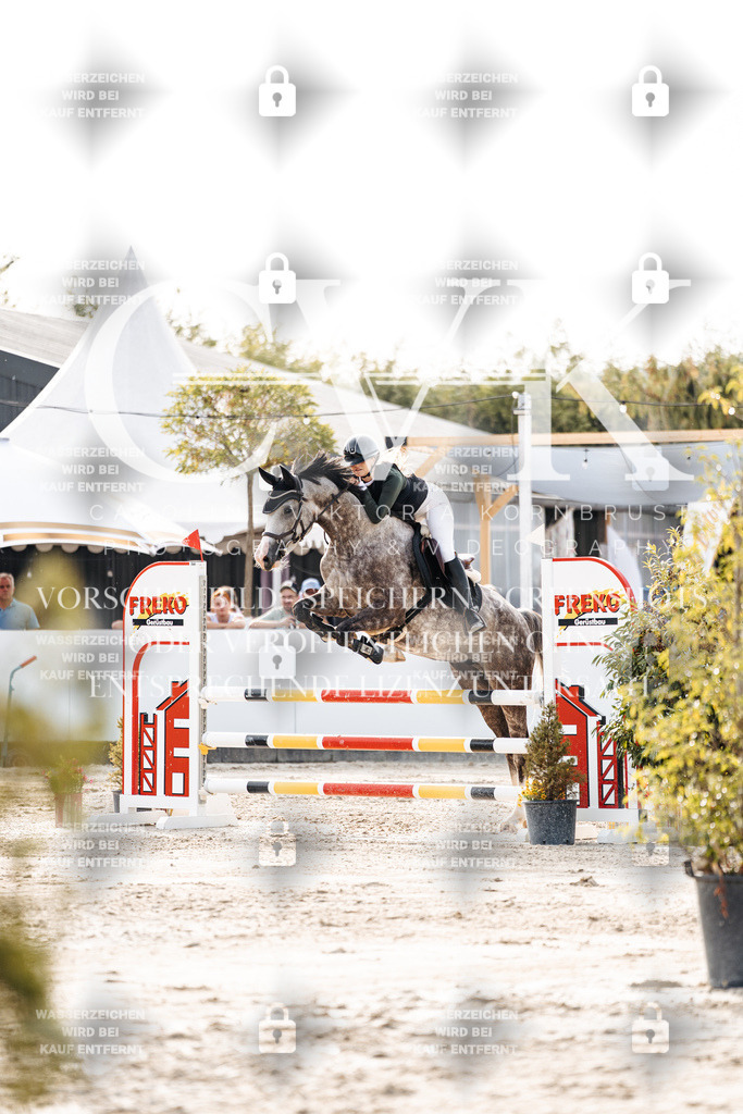 CK906605 | Turnierfotografie Pferdefotografie Trier Rheinland-Pfalz Pferdesport Reitsport Tierfotografie Sportfotografie Pferdevideo Pferdevideografie Equestrianvideography equestrianphotography  - Realisiert mit Pictrs.com