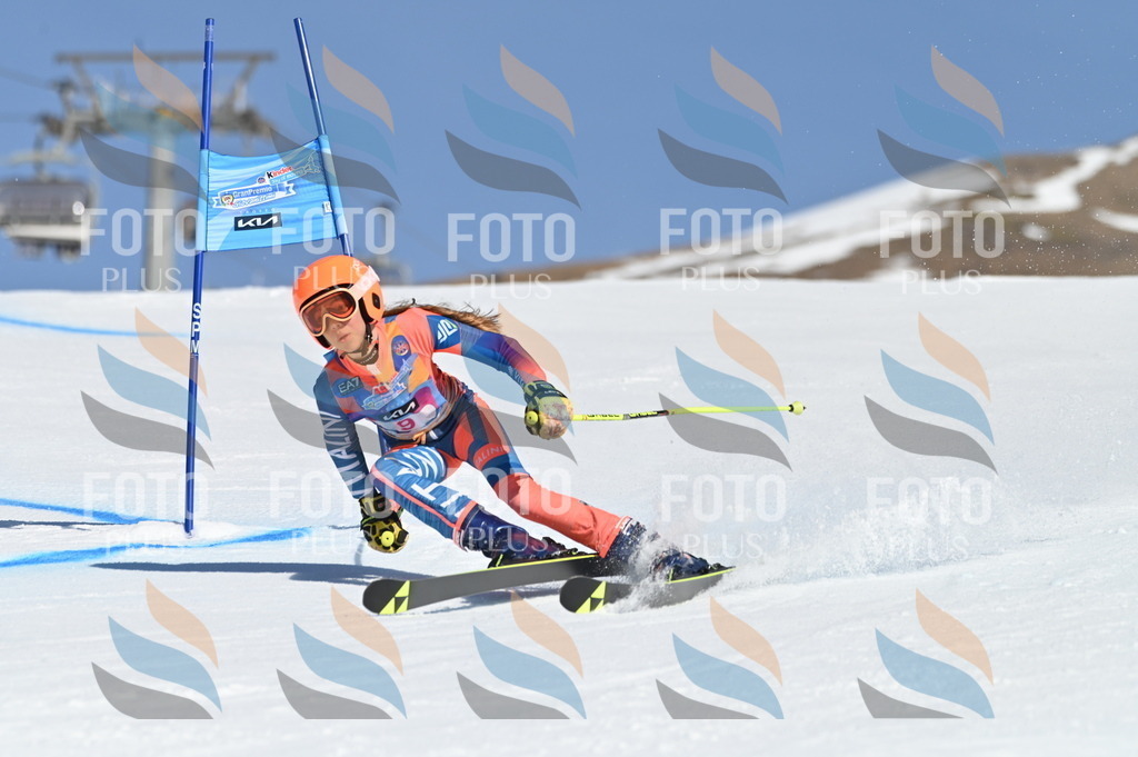 BGV_7735 | holidayphoto