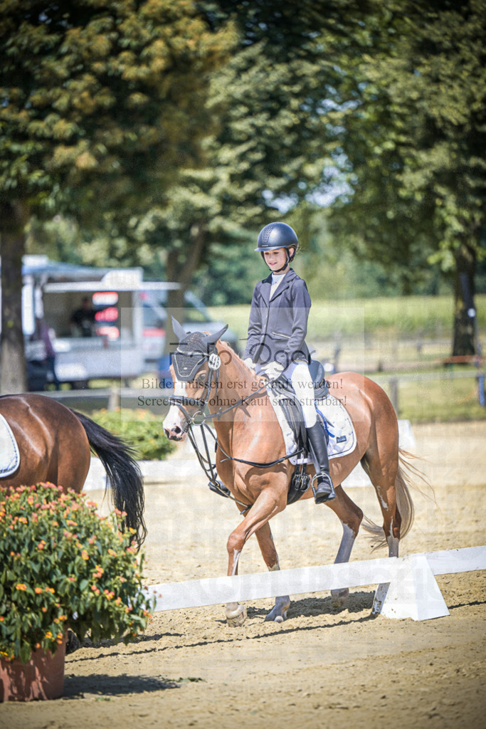 DOS_6262 | Entdecke hochwertige Reitturnierfotos von Foto Oger. Professionell, emotional und authentisch – jetzt Lieblingsmomente im Shop bestellen.Deutschlandweite Turnierfotografie. - Realisiert mit Pictrs.com