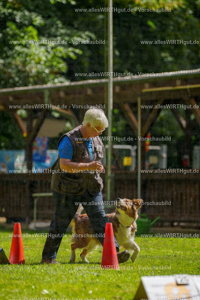 @allesWIRTHgut_Tierfotografie - www.allesWIRTHgut.de - 100700-7R508069 | Professionelle Tierfotografie in Mönchengladbach von Daniel Wirth (allesWIRTHgut). Liebevolle & natürliche Bilder von Hunden & Katzen für unvergessliche Erinnerungen.