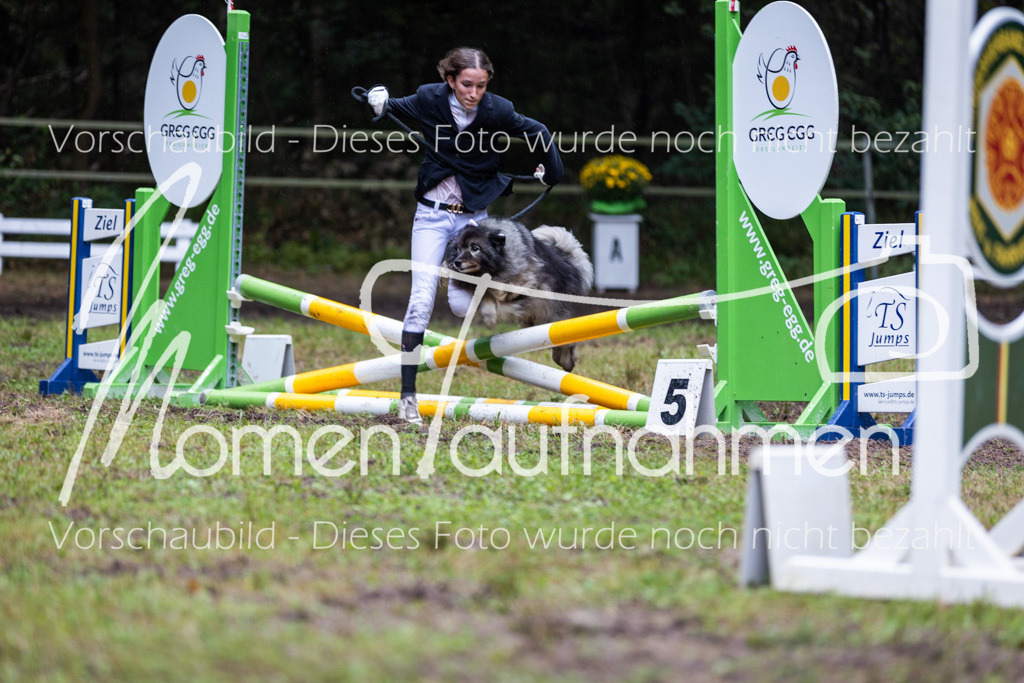 HB-JaD-013 | MomenTaufnahmen Pferdesportfotos