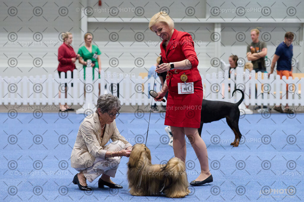 202406_ÖKV-IHA-Tulln24_DSC_3351 | proPHOTO - Realisiert mit Pictrs.com