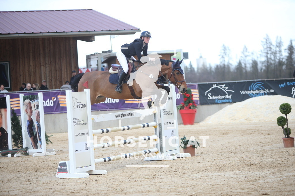 AS8V7880 | Willkommen bei Brunnmayr - Design & Fotografie – Ihrem Spezialisten für Reitturniere und Pferdeveranstaltungen in Oberösterreich, Salzburg und Bayern! Seit über 17 Jahren sind wir leidenschaftlich dabei.