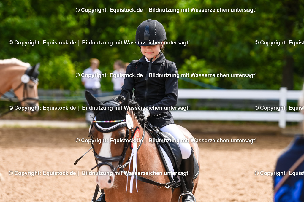20230716_10-3_Reiter-WB Schritt - Trab - Galopp_0227 | equistock