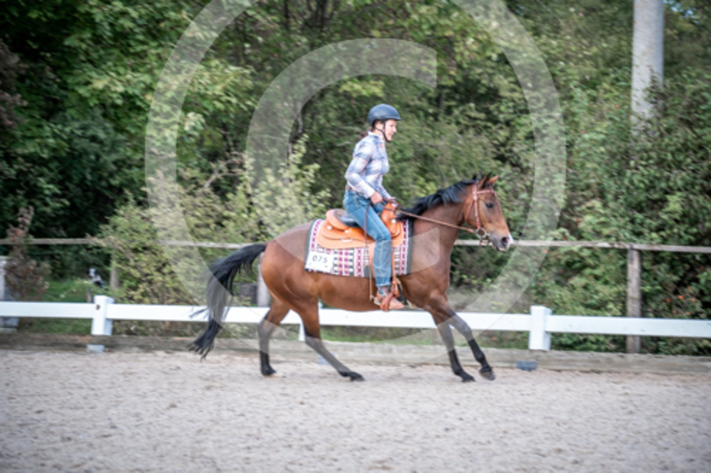 HEB07714 | BS-foto