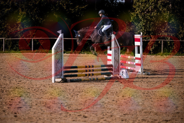 2026_10_03_Siefer-Hof_160134_Z81_82492315 | Professionelle Reitsport-, Turnier- und Eventfotografie von Robert Broda. Galerien mit ausgewählten und bearbeiteten Bildern direkt online ansehen und bestellen.