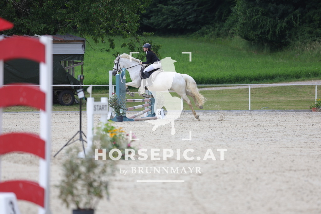 0P6A5162 | Willkommen bei Brunnmayr - Design & Fotografie – Ihrem Spezialisten für Reitturniere und Pferdeveranstaltungen in Oberösterreich, Salzburg und Bayern! Seit über 17 Jahren sind wir leidenschaftlich dabei.