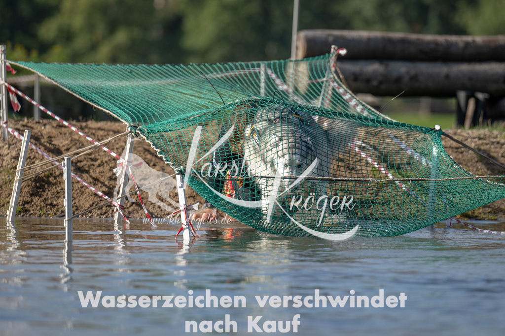 1117_ZZ92209 | kk-dogfotos
