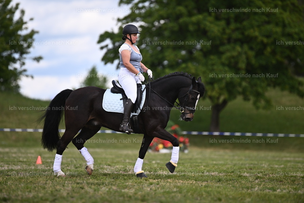 PI26_Show_Sara_Landvogt_226_0005.JPG | working equitationturnier fotograf videograf stoibphotography marixx film working equitation deutschland reitsport turnierfotografie eventfotografie equestrian events