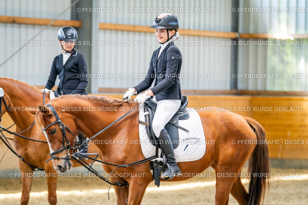 DSC03063 | Pferdegrafie