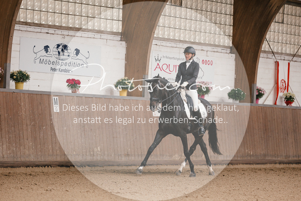 3I6A8139 | Stimmungsvolle Portraits und Reitsportfotografie im Ruhrgebiet und im Münsterland.

Pferdefotografie, Hundefotografie, Tierfotografie, Reportagen, Portraits von Tier und Mensch, Turnierfotografie in Bochum, Recklinghausen, Marl, Haltern am See, Dülmen.. - Realisiert mit Pictrs.com