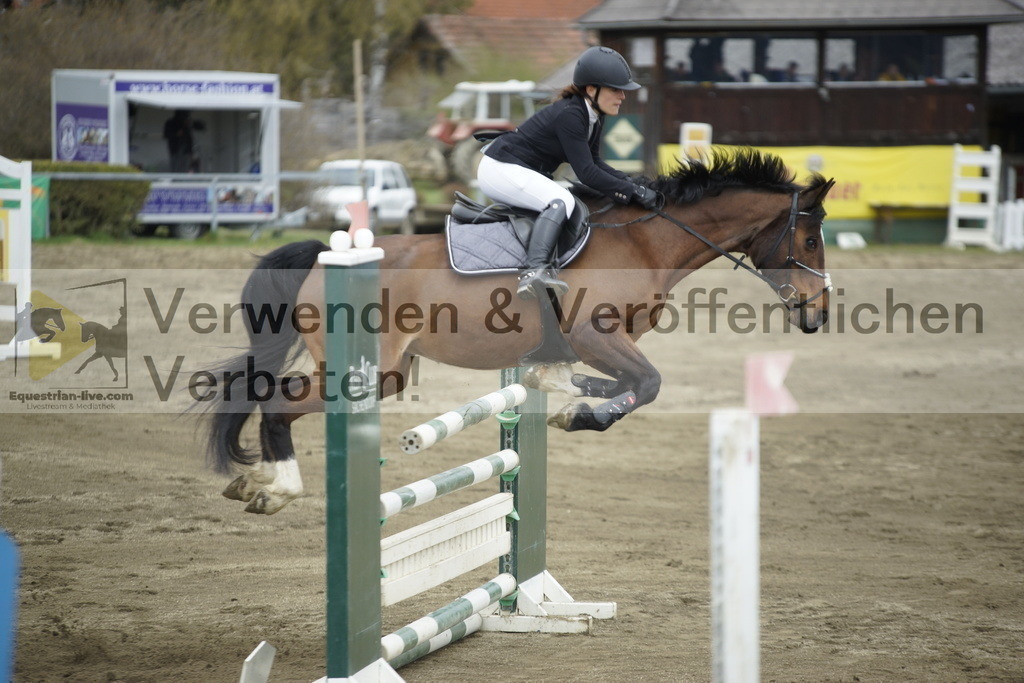 _DSC7403 | equestrian-live-com