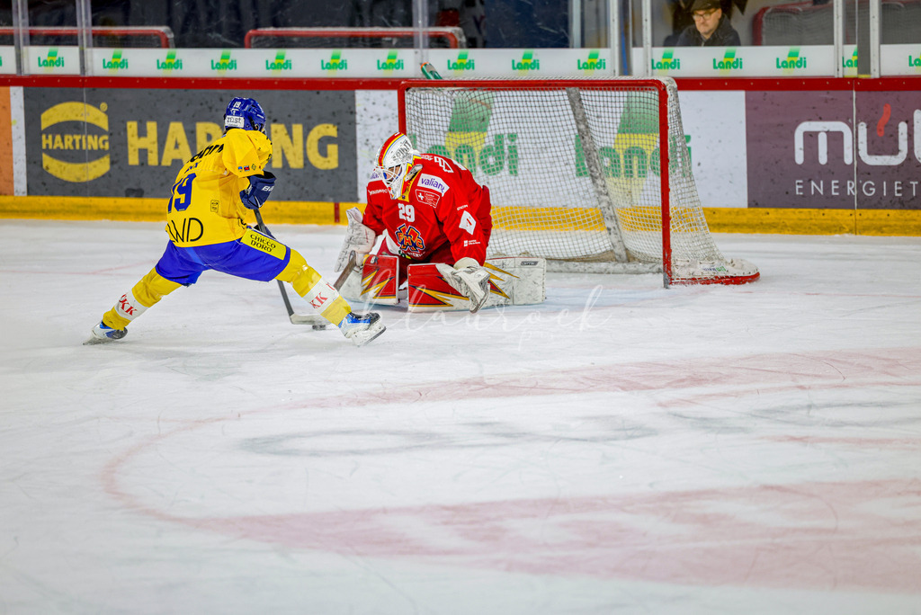 EHCB vs HCD-1556 | Sportbilder, Sportfotograf, Hochzeits- und Eventfotografin, Flugshows, Portraits und Tiershooting, Aviation, Downhill, Nationalleague, Swissleague, International