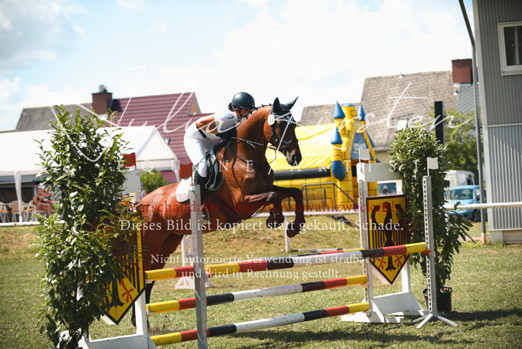 DSC_6520 | Pferde- und Turnierfotografie in Westsachsen. Pferdeportraits, Auftragszeichnungen und intuitive Kunst.