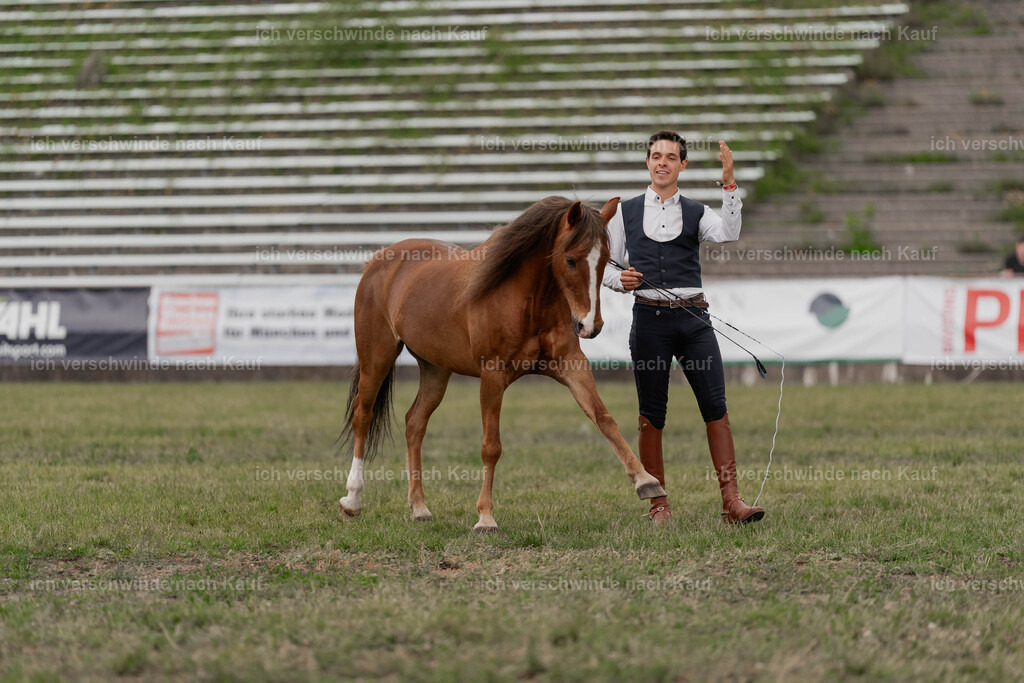 Showprogramm-417 | working equitationturnier fotograf videograf stoibphotography marixx film working equitation deutschland reitsport turnierfotografie eventfotografie equestrian events