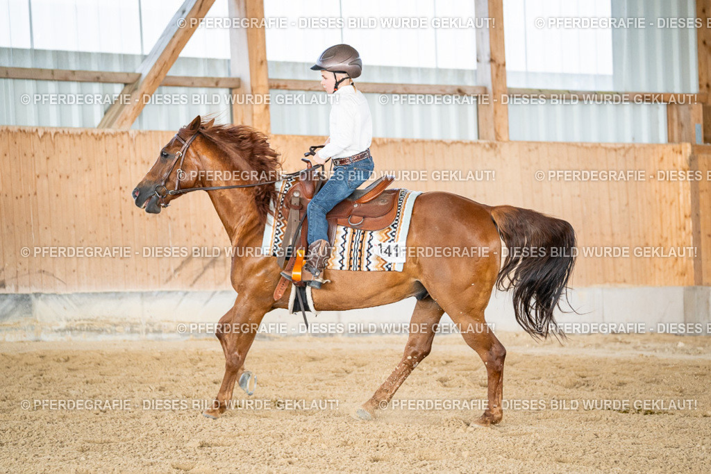 DSC08641 | Pferdegrafie