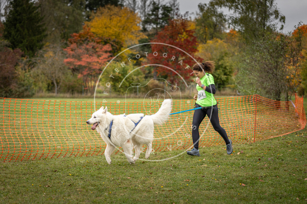 Pfotenfotografie_DV3A4188 | Hundefotografie, Tierfotograf, Pfotenfotografie, Fotoshooting Hund, Hunde Portrait, Hundesport, Hundeportraits, Heideshooting, Hunde, Sportfotograf, Hundefotograf, Turnierhundsport, THS,  - Realisiert mit Pictrs.com