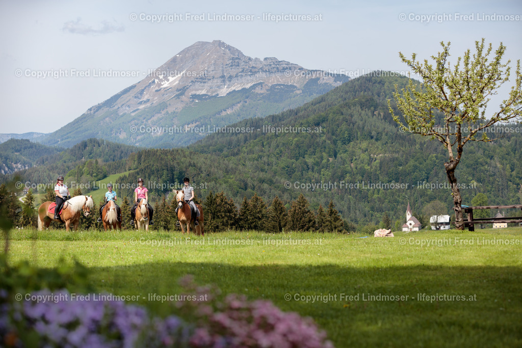 Otscher  (63) | Fotos und Fotoprodukte - Realisiert mit Pictrs.com