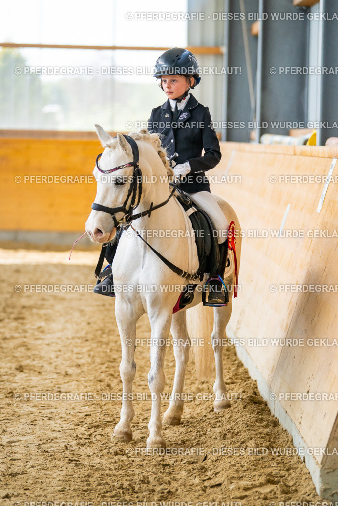 DSC01187 | Pferdegrafie