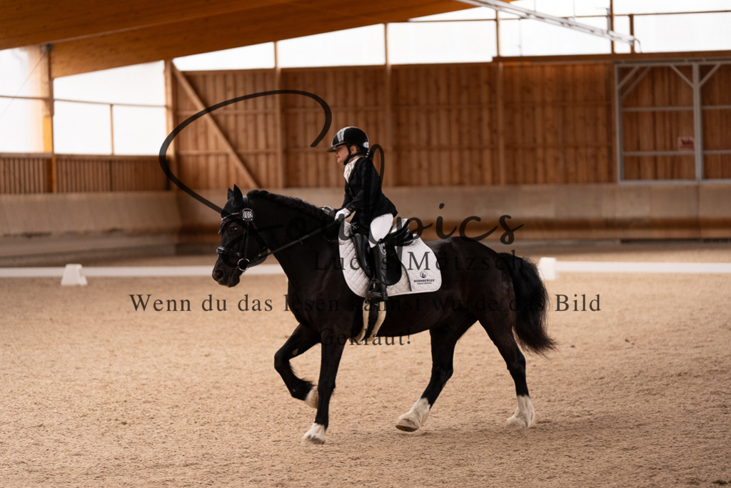 A7507008 | Turnier/Reitfotograf