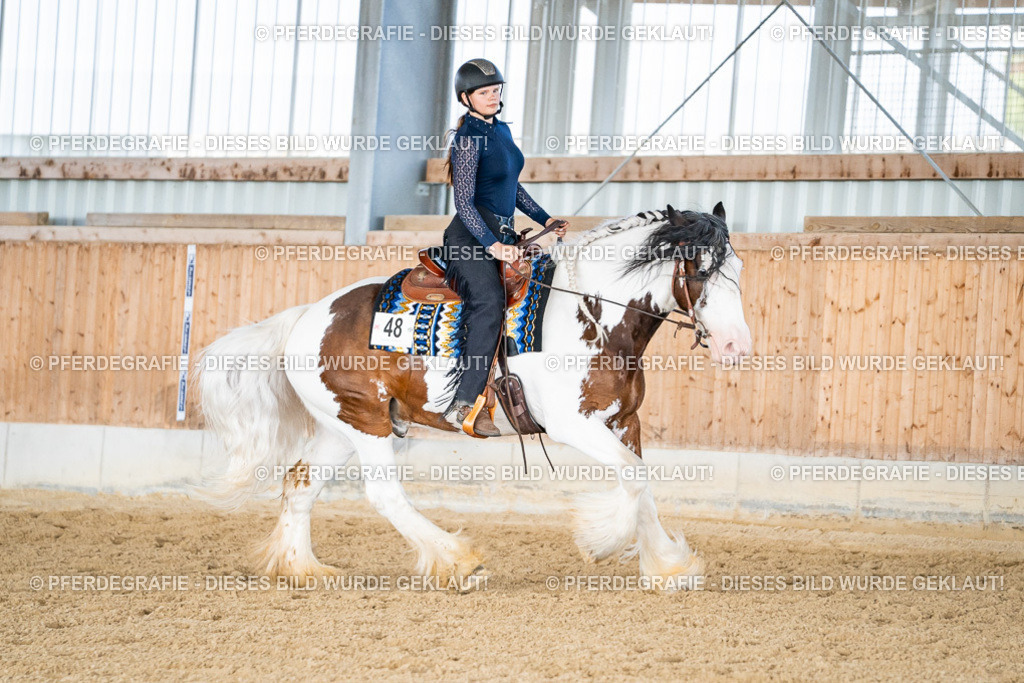 DSC09311 | Pferdegrafie