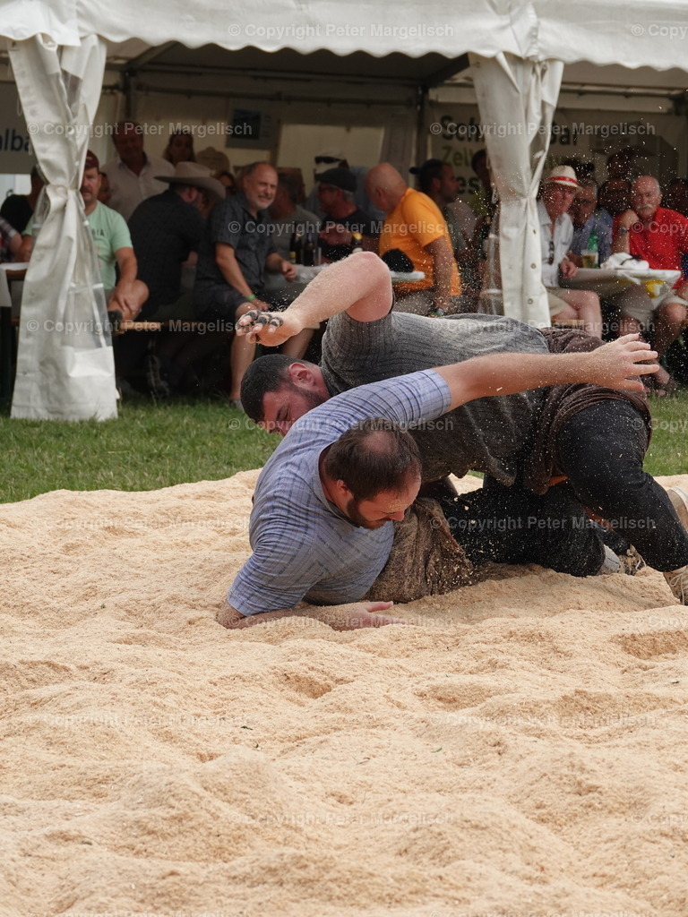 DSC05154 | Schwingen - Realisiert mit Pictrs.com